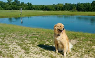Paul R.'s photo of camping with pets at Rocky Hock Campground near Moyock, NC