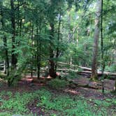 Review photo of Cades Cove Campground by Nate H., July 21, 2019