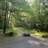 Review photo of Cades Cove Campground by Nate H., July 21, 2019