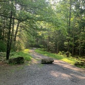 Review photo of Cades Cove Campground by Nate H., July 21, 2019