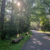 Review photo of Cades Cove Campground by Nate H., July 21, 2019
