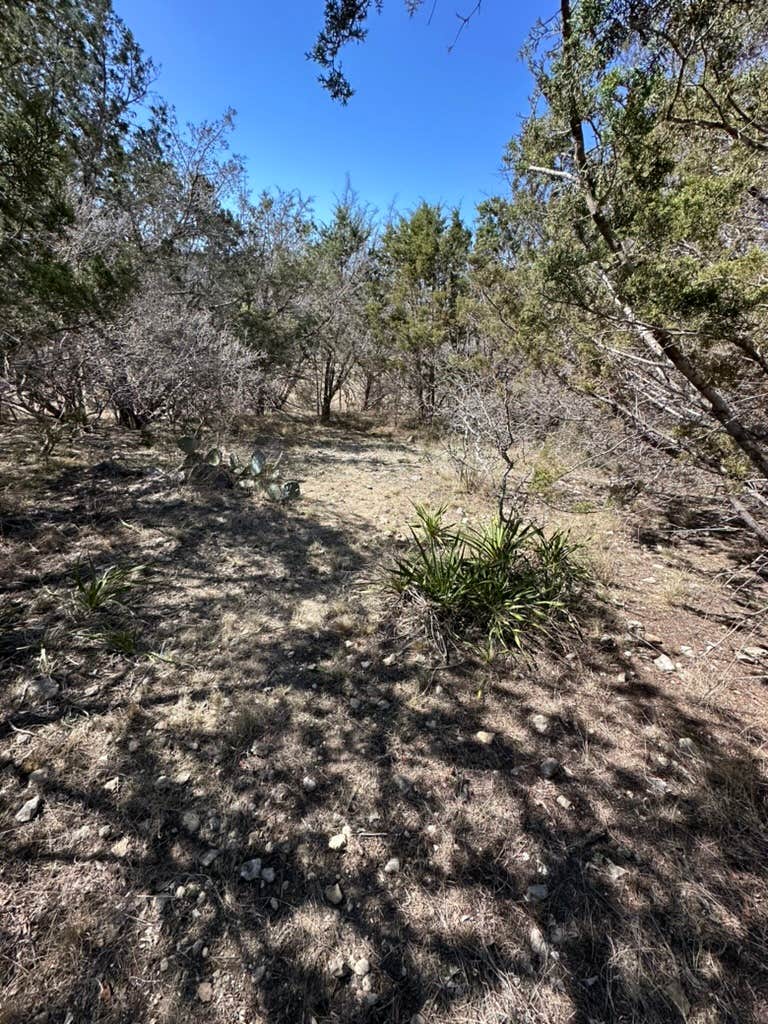 Camper-submitted photo at Fernweh Hideaway near Kerrville, TX