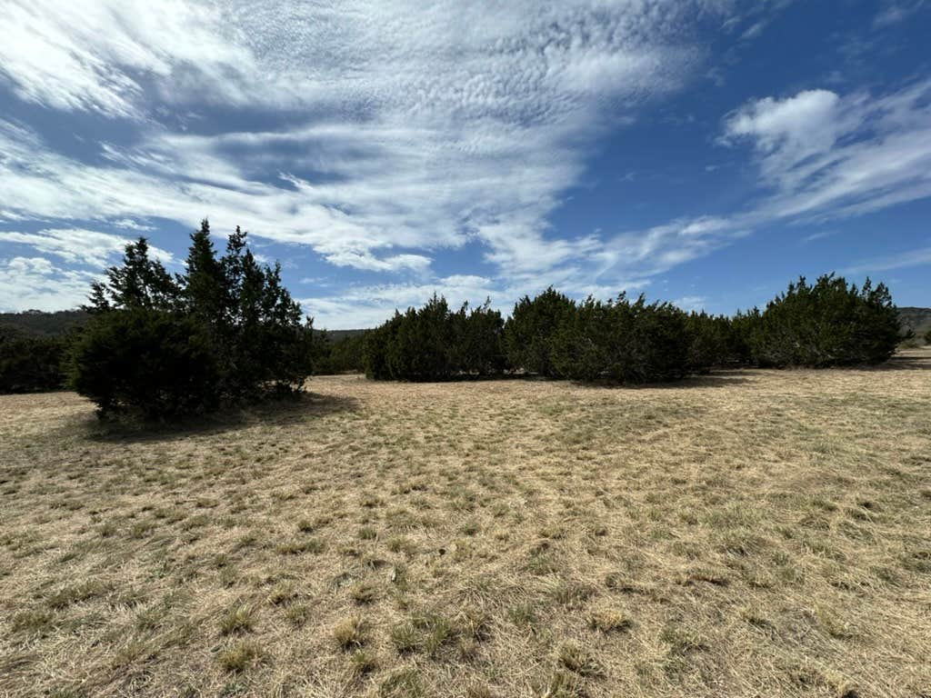Camper-submitted photo at Fernweh Hideaway near Kerrville, TX
