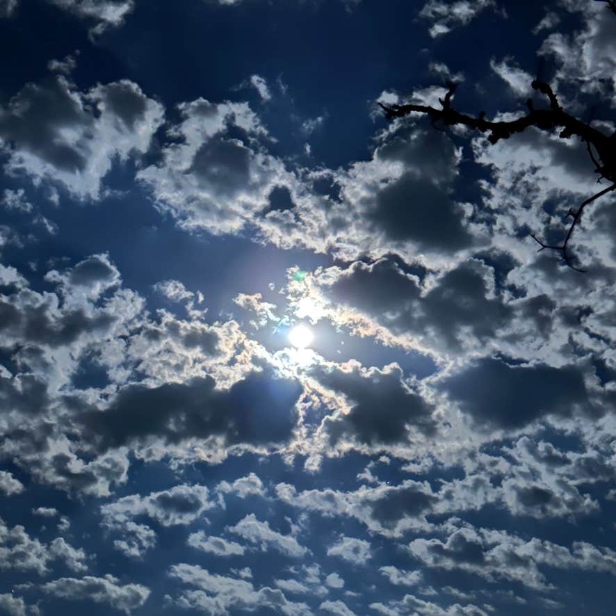 Camper-submitted photo at Fernweh Hideaway near Kerrville, TX