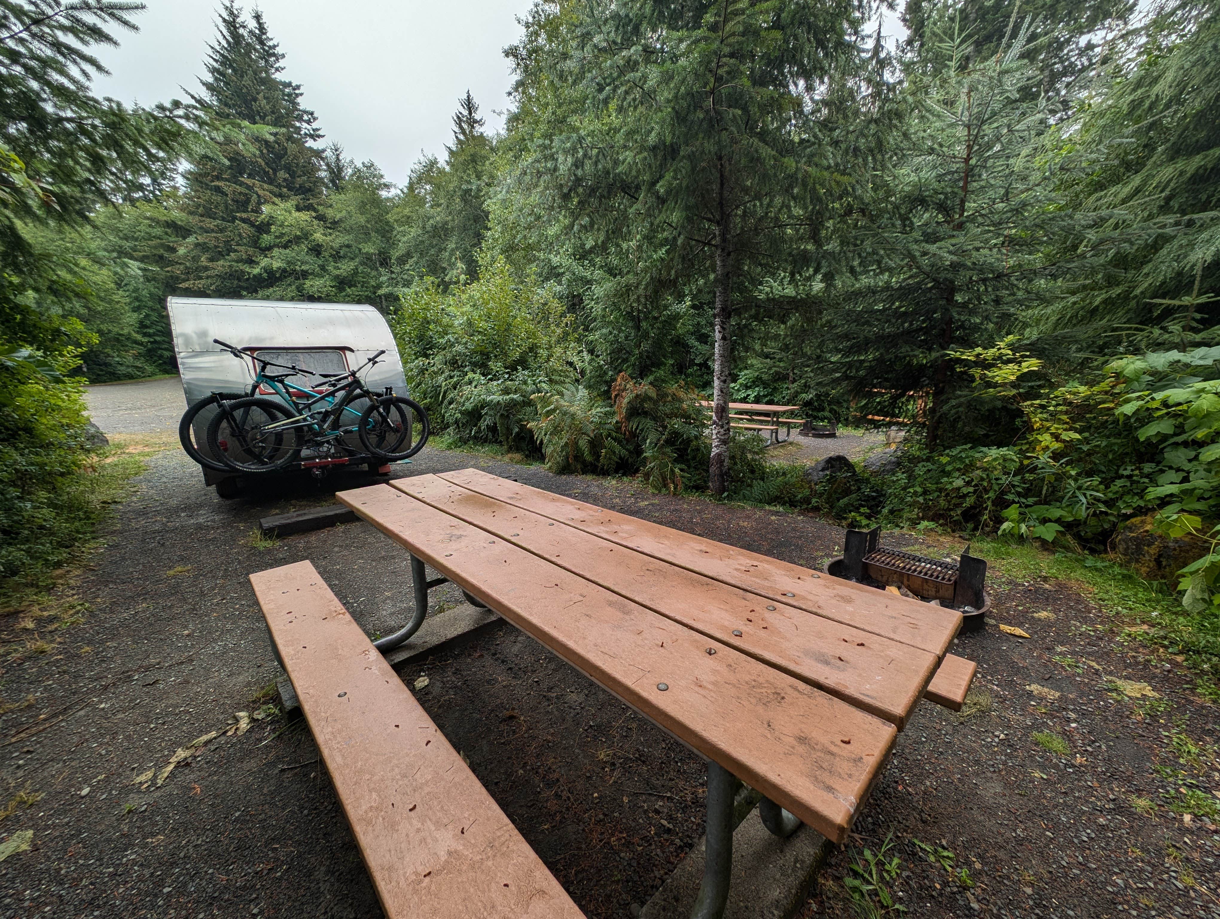 Camper-submitted photo at Sadie Creek Campground near Olympic National Park