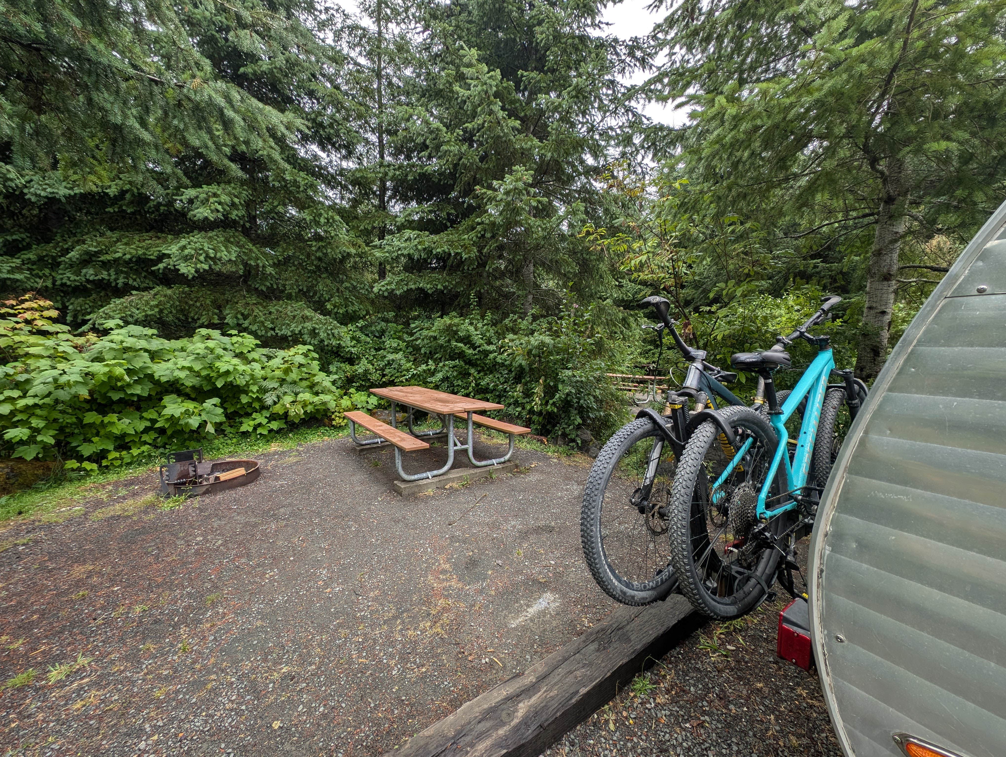 Camping near PRSRV Surf - Twin Beach: Sadie Creek Campground, Joyce, Washington