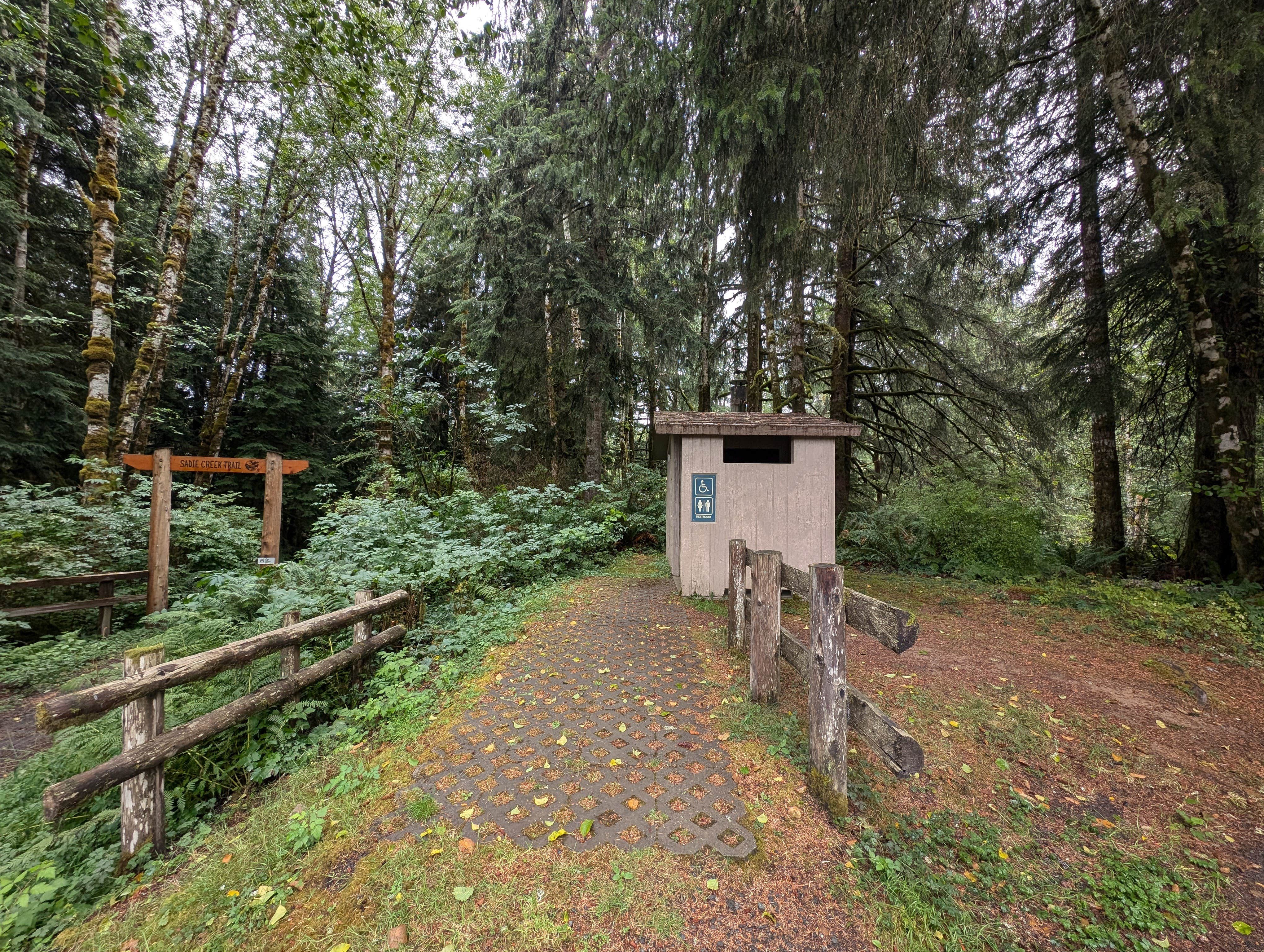 Camper-submitted photo at Sadie Creek Campground near Olympic National Park