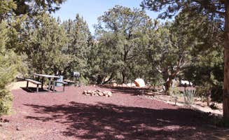 Lyman's photo at Water Canyon Campground near Colorado City, AZ