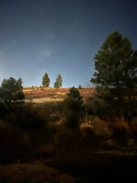 Camper-submitted photo at Gold Ranch Casino & RV Resort near Calpine, CA