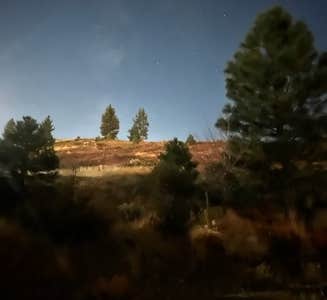 THE 10+ BEST Campgrounds near Reno, NV