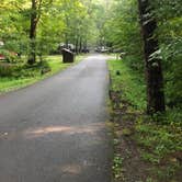 Review photo of Cades Cove Campground by Lori H., July 21, 2019