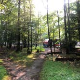 Review photo of Cades Cove Campground by Lori H., July 21, 2019