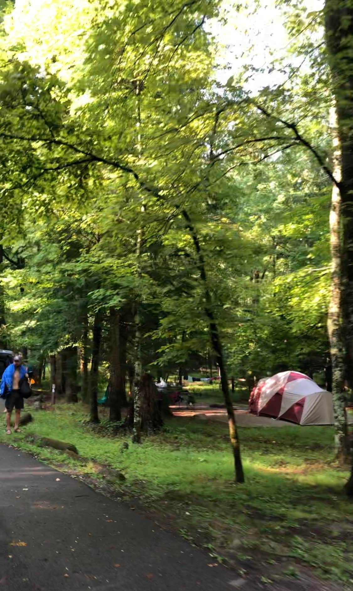 Lori H.'s photo at Cades Cove Campground near Townsend, TN