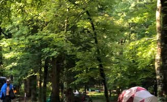 Lori H.'s photo at Cades Cove Campground near Maryville, TN