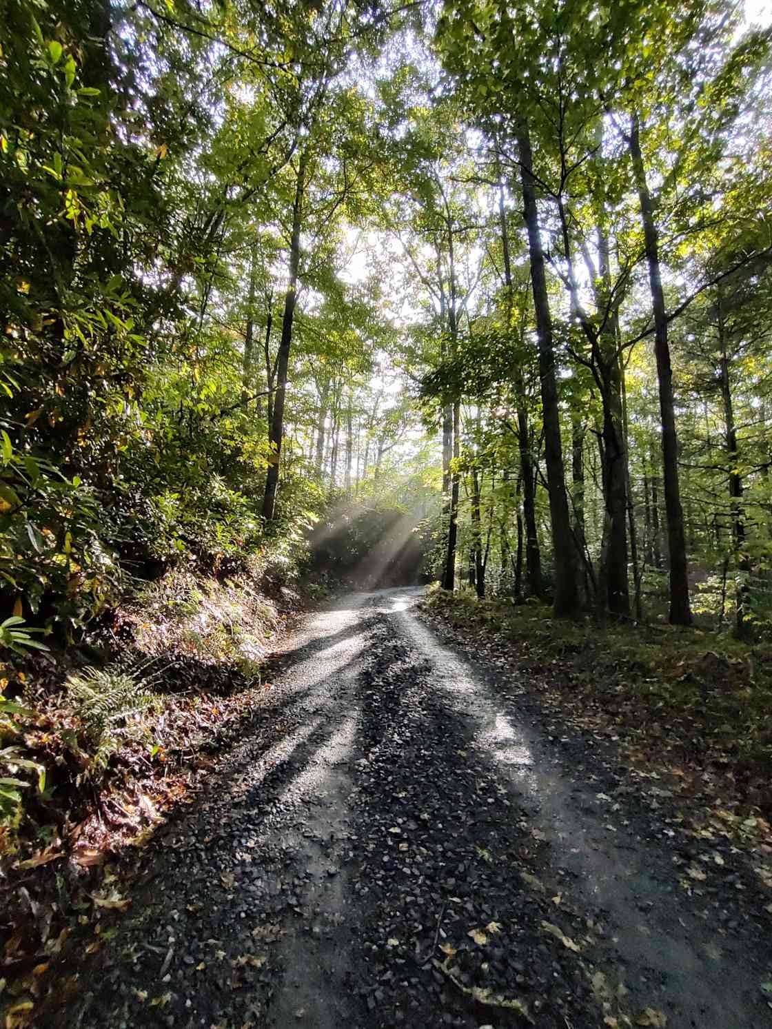 Camper-submitted photo at Tranquil Highlands Campground near Blowing Rock, NC