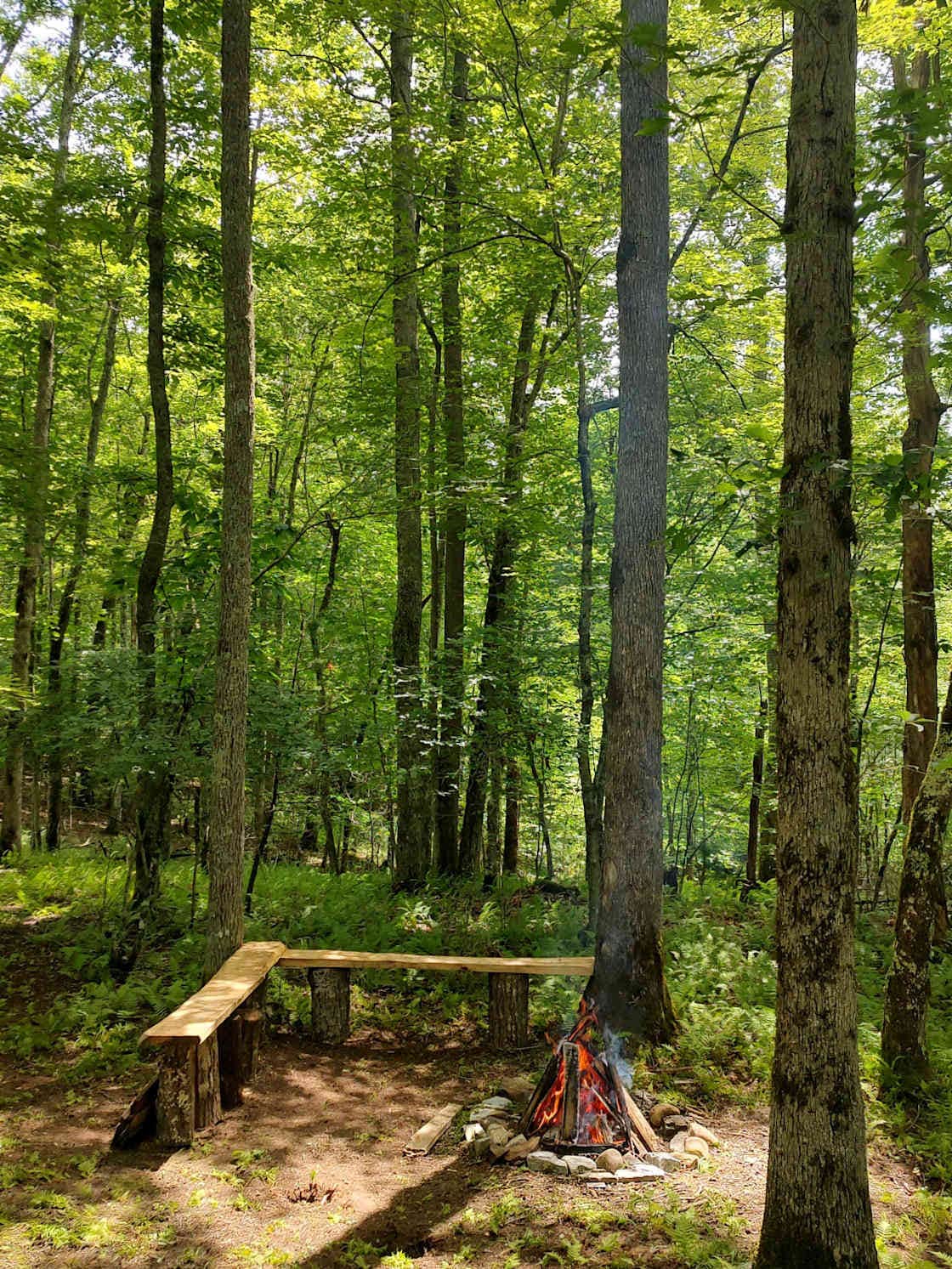 Camping near Down by the River Campground - 55+: Tranquil Highlands Campground, Pineola, North Carolina