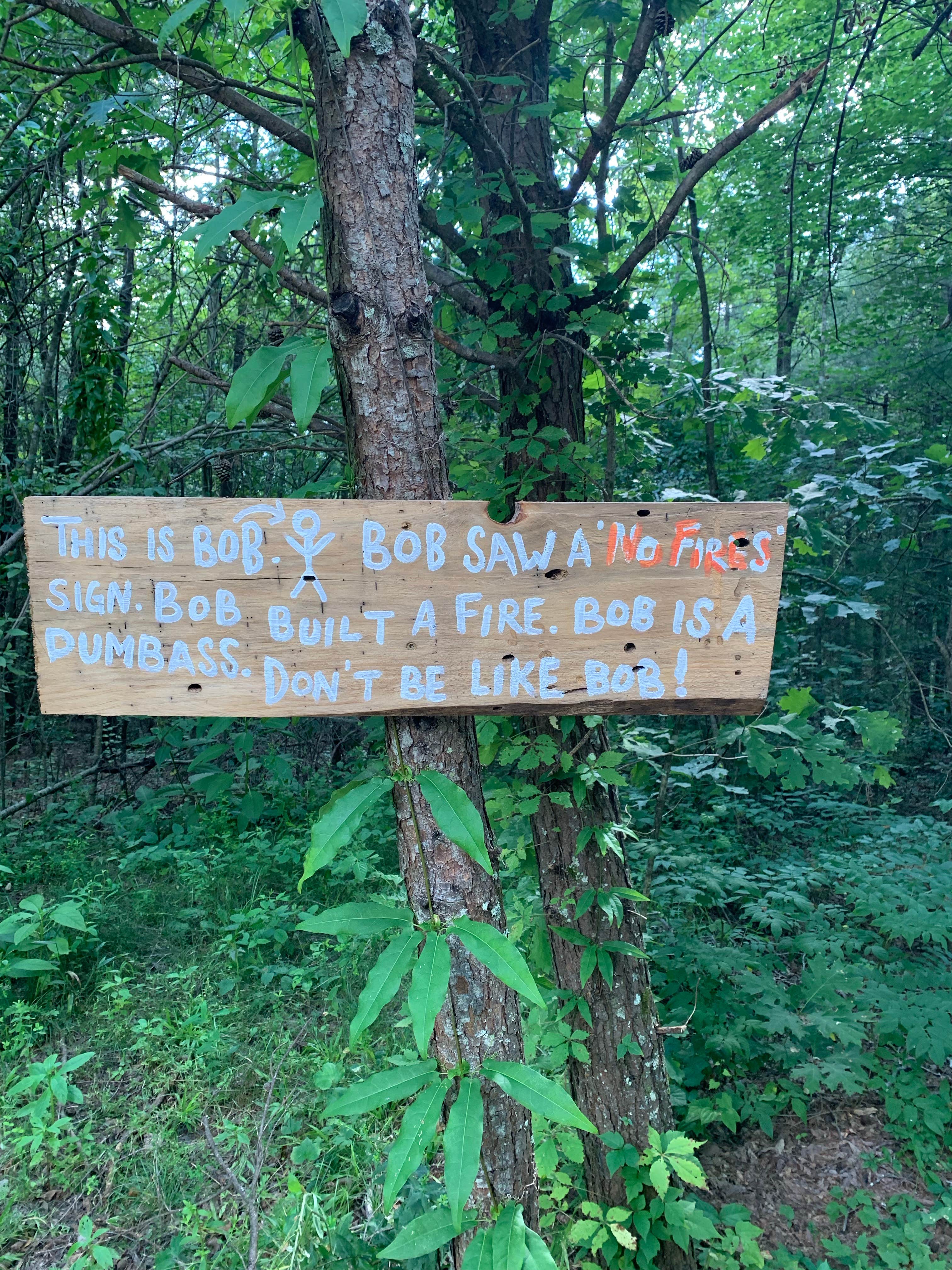 Camper submitted image from Lilly Pad Campground - 4
