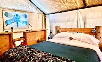 Elona K.'s photo of glamping accommodations at Two Frog Bog near Packwood, WA