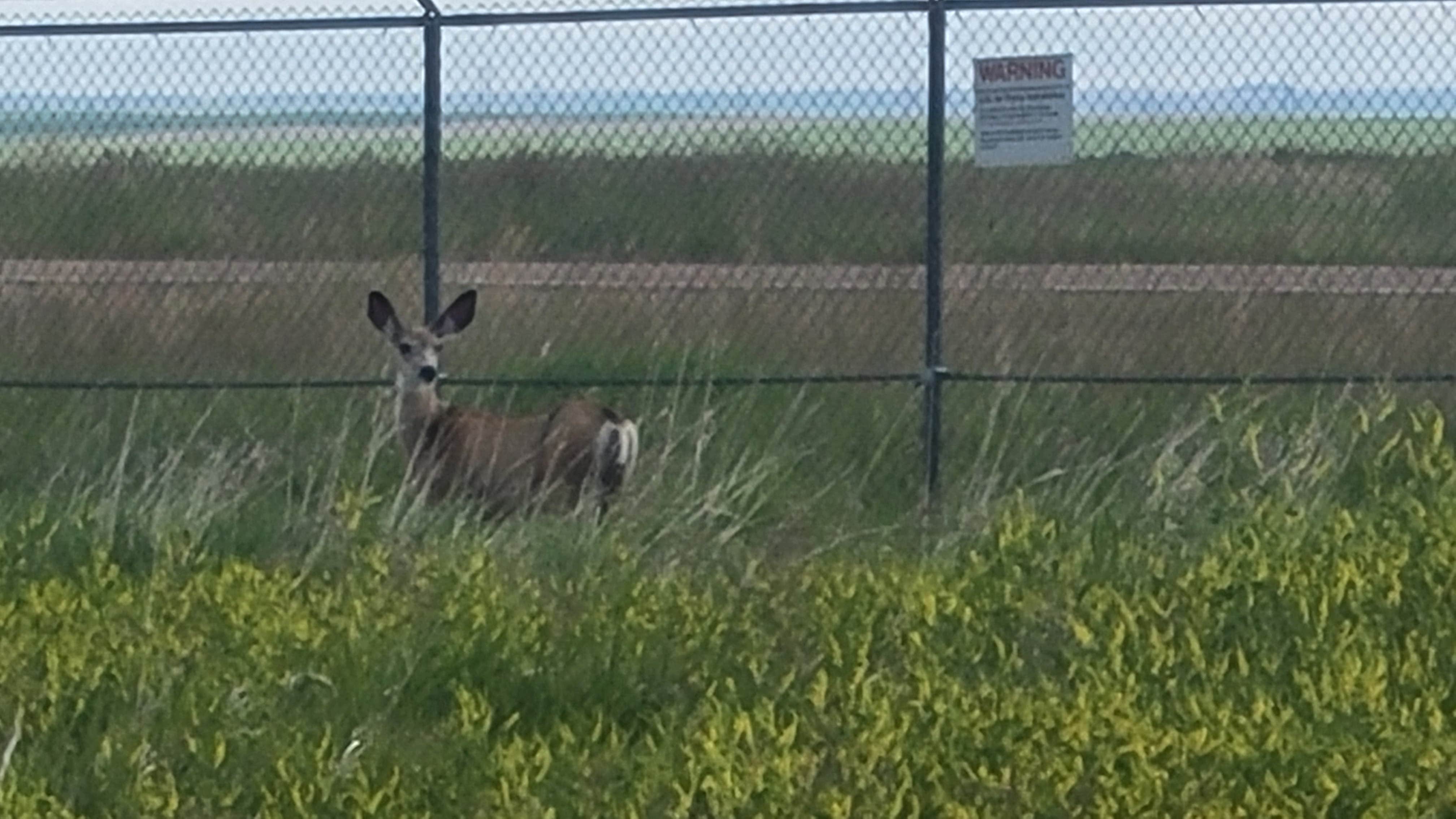 Camper-submitted photo at Military Park Malmstrom AFB Gateway FamCamp near Highwood, MT