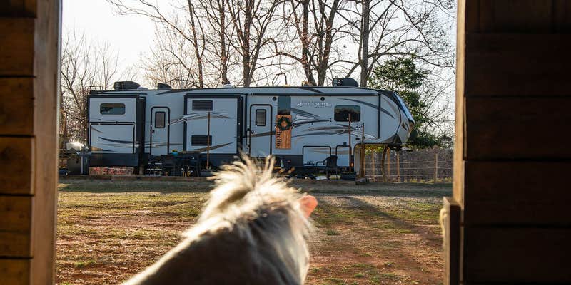 Camper submitted image from The Glamper at White Oak Stables