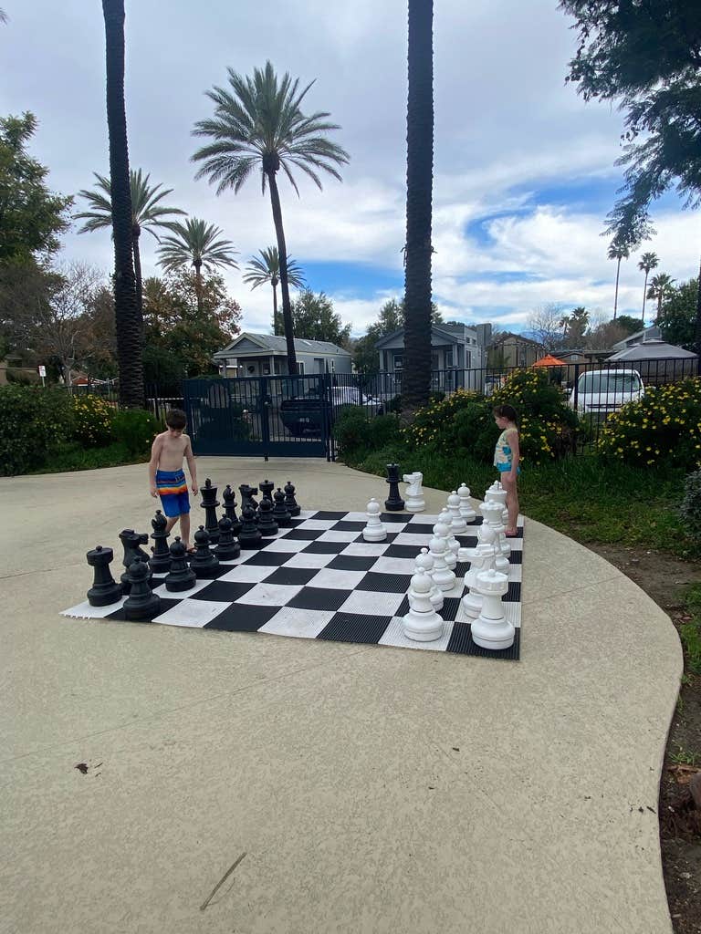 Camper-submitted photo at Golden Village Palms RV Resort near Hemet, CA