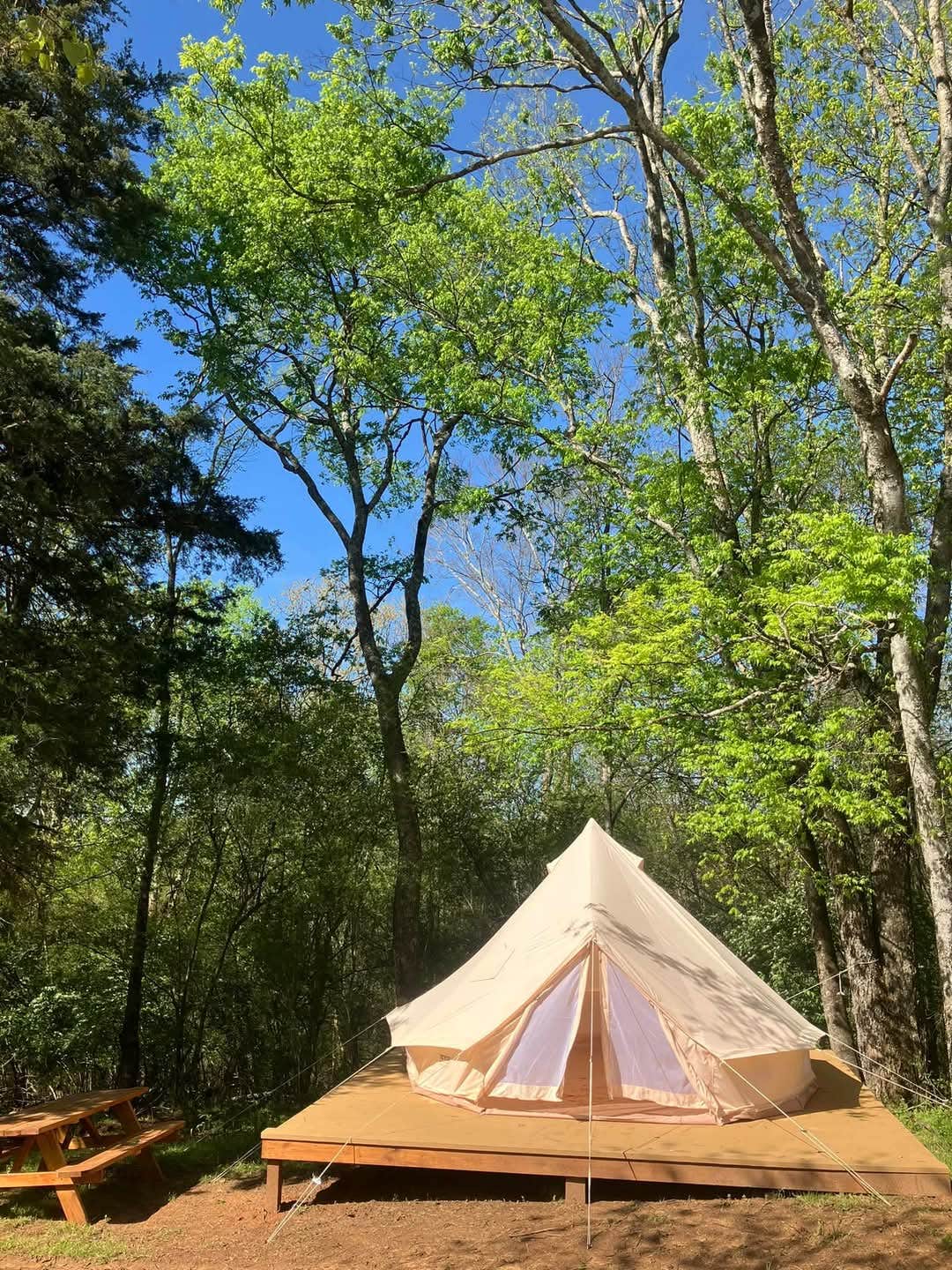 Tina M.'s photo at Covenant View Camp and Retreat near Ringgold, GA