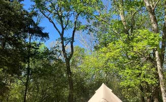 Tina M.'s photo at Covenant View Camp and Retreat near White Oak, GA