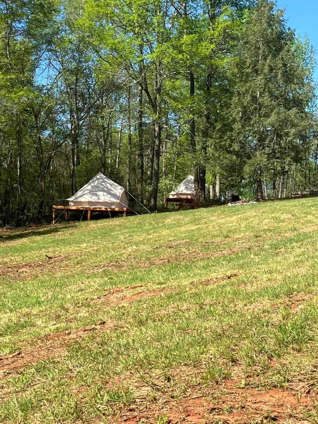 Tina M.'s photo of glamping accommodations at Covenant View Camp and Retreat near Rising Fawn, GA