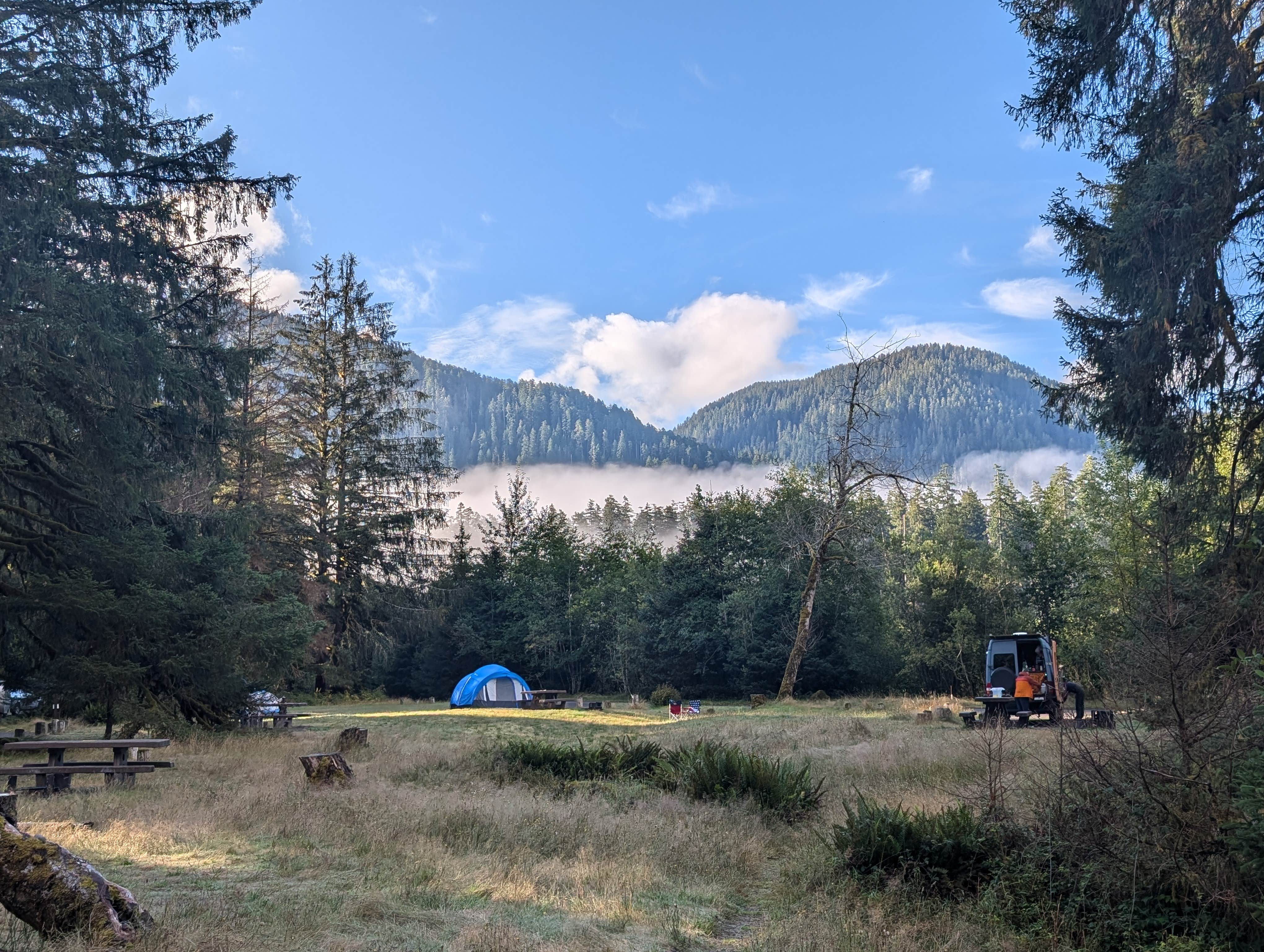 Shari  G.'s photo at Hoh Campground — Olympic National Park near Olympic National Park