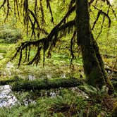 Review photo of Hoh Campground — Olympic National Park by Shari  G., April 11, 2025