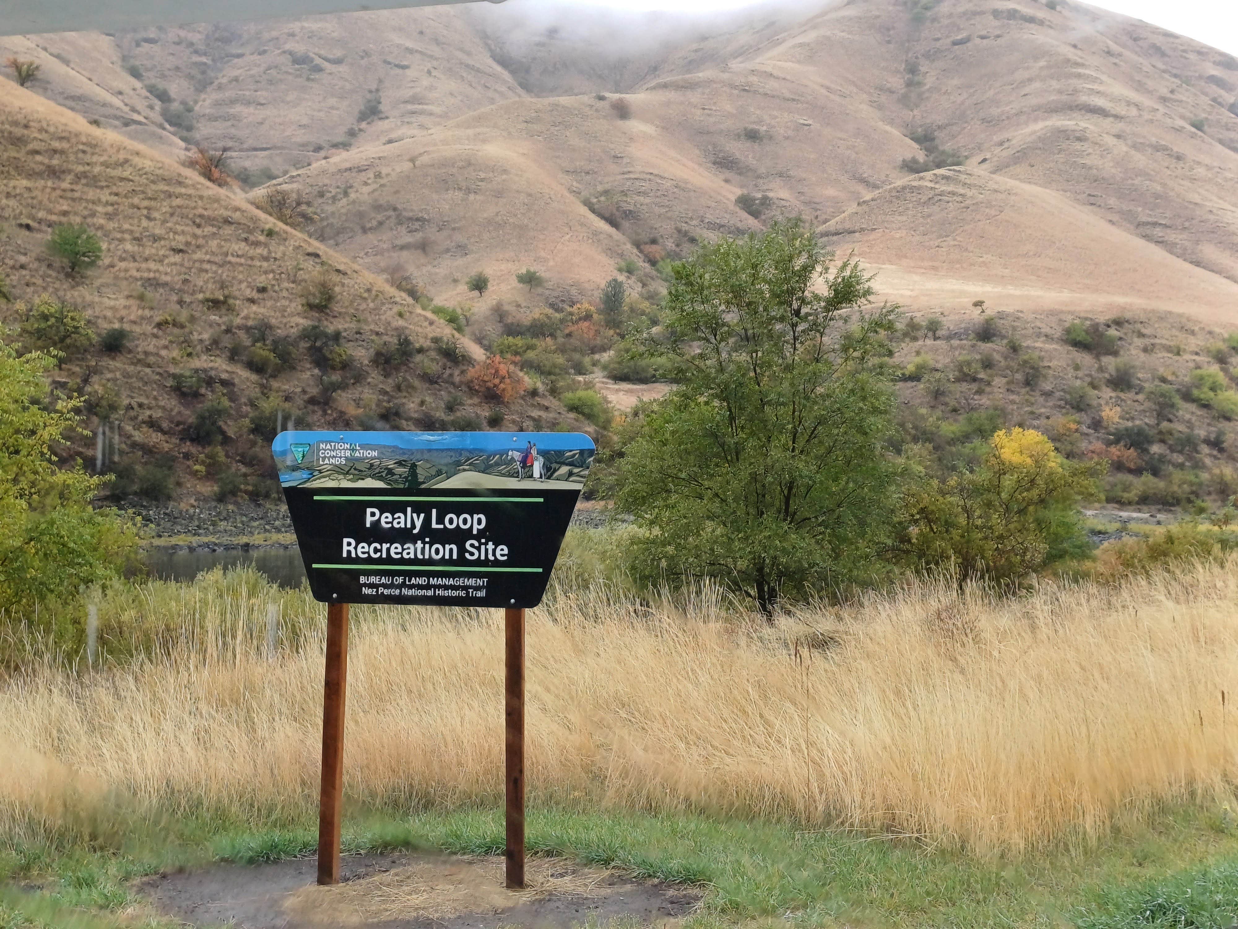 Camper submitted image from Pealy Loop Recreation Site Dispersed - 5