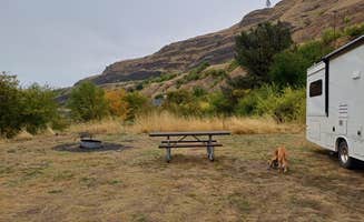 Laura M.'s photo of camping with pets at Pealy Loop Recreation Site Dispersed near Winchester, ID
