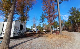 Laura M.'s photo of rv camping at Iron City Campground, Inc. near Catawba, SC