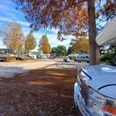 Review photo of Maxie's Campground by Laura M., April 5, 2025