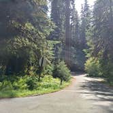 Review photo of Sol Duc Hot Springs Resort Campground — Olympic National Park by Laura M., April 11, 2025
