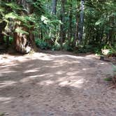 Review photo of Fairholme Campground — Olympic National Park by Laura M., April 11, 2025