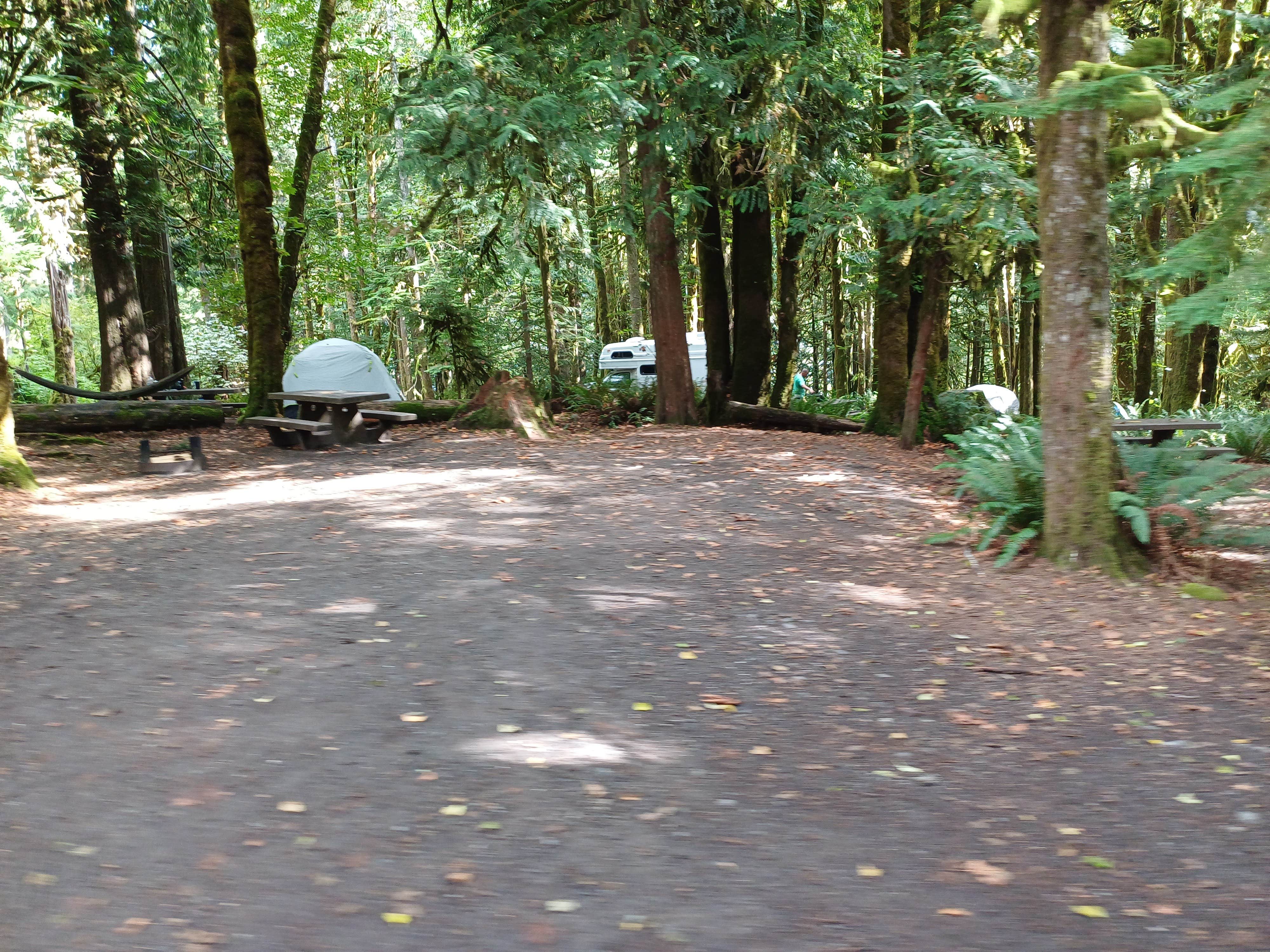 Laura M.'s photo at Fairholme Campground — Olympic National Park near Joyce, WA