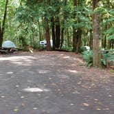 Review photo of Fairholme Campground — Olympic National Park by Laura M., April 11, 2025