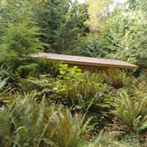Review photo of Fairholme Campground — Olympic National Park by Laura M., April 11, 2025