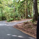 Review photo of Fairholme Campground — Olympic National Park by Laura M., April 11, 2025