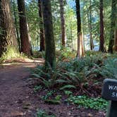 Review photo of Fairholme Campground — Olympic National Park by Laura M., April 11, 2025