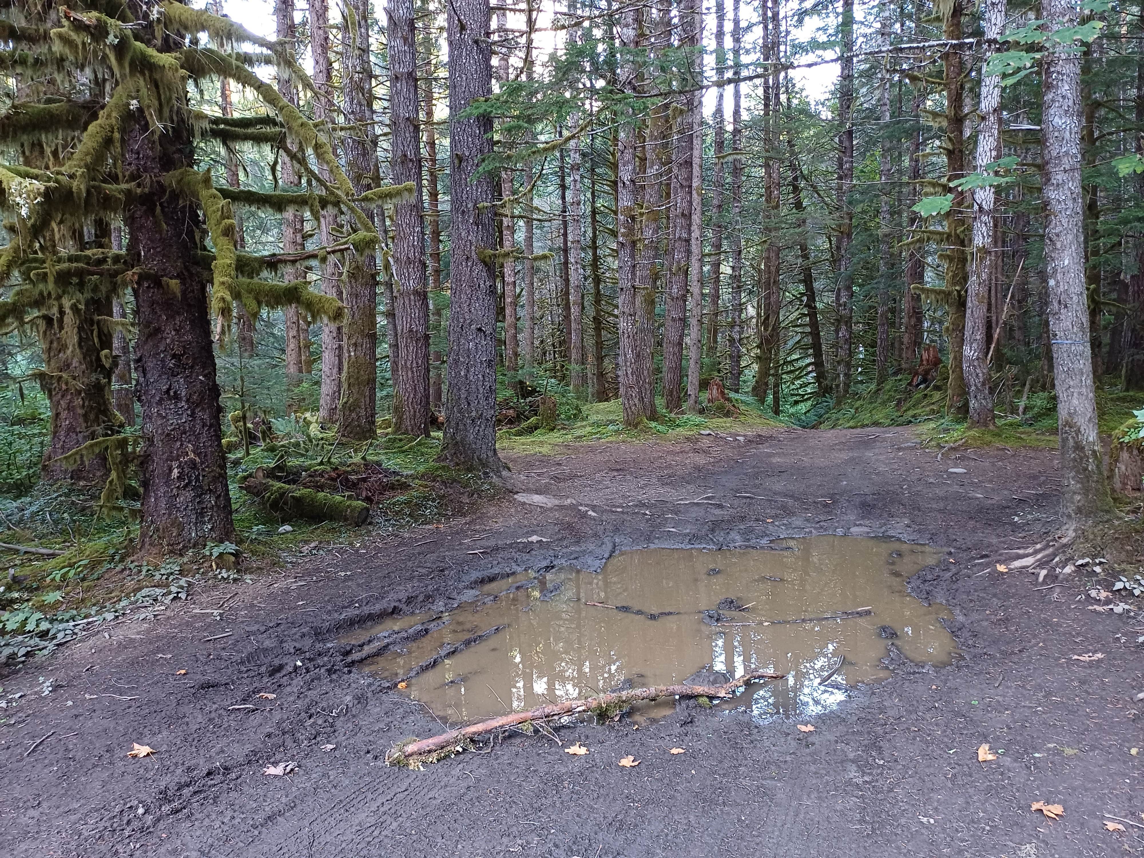 FS-2918 Dispersed Site