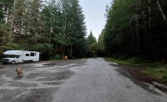 Laura M.'s photo of camping with pets at FS-2918 Dispersed Site near Olympic National Park
