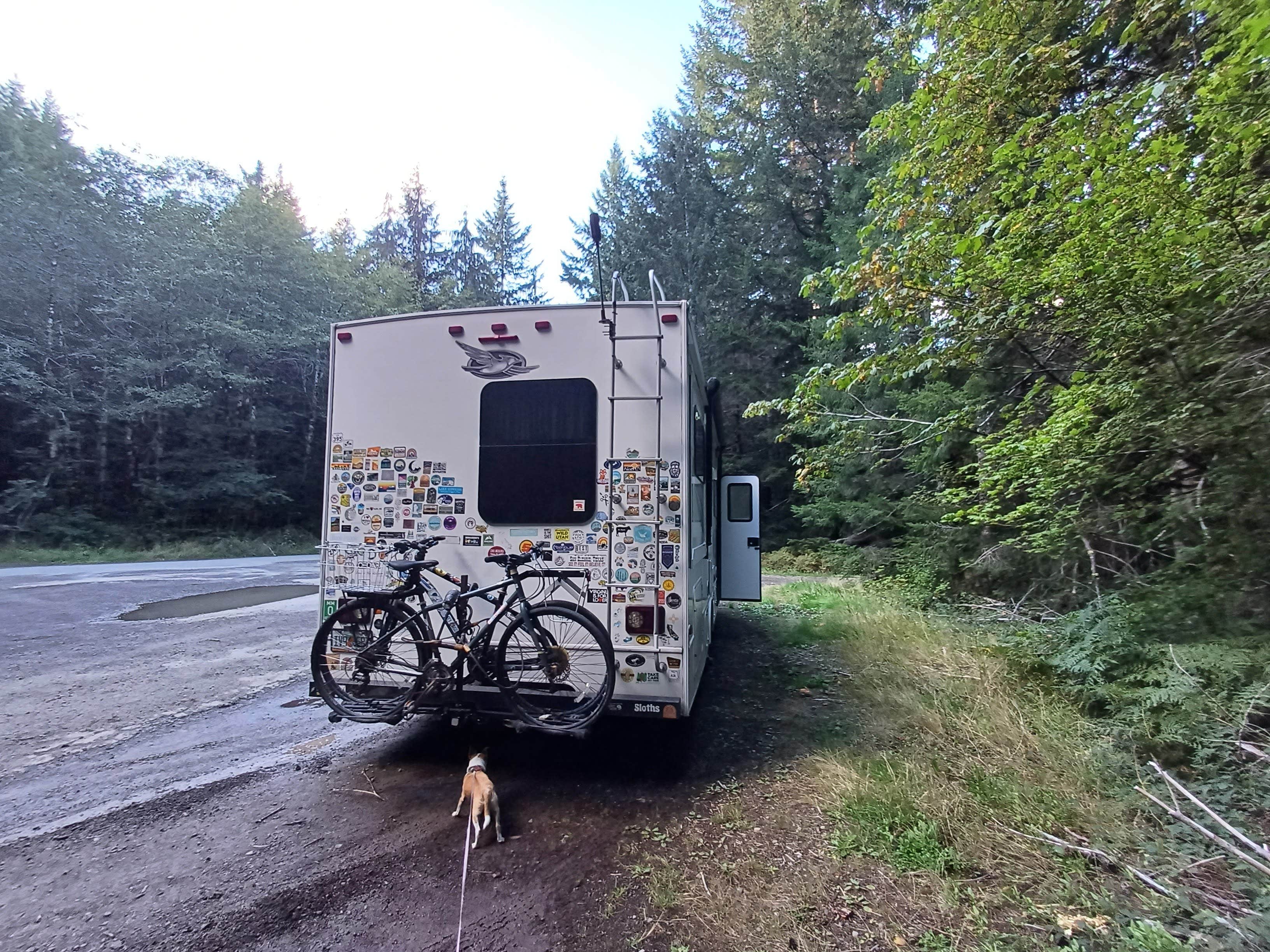 FS-2918 Dispersed Site