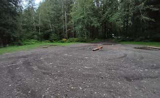 Laura M.'s photo of camping with pets at FS-2918 Dispersed Site near La Push, WA