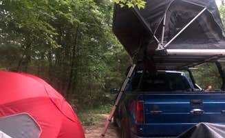 Lori H.'s photo at Lilly Pad Campground near Robbins, TN