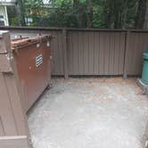 Review photo of Cougar Rock Campground — Mount Rainier National Park by Laura M., April 11, 2025