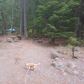 Review photo of Cougar Rock Campground — Mount Rainier National Park by Laura M., April 11, 2025