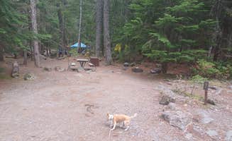 Laura M.'s photo at Cougar Rock Campground — Mount Rainier National Park near Elbe, WA