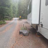 Review photo of Cougar Rock Campground — Mount Rainier National Park by Laura M., April 11, 2025